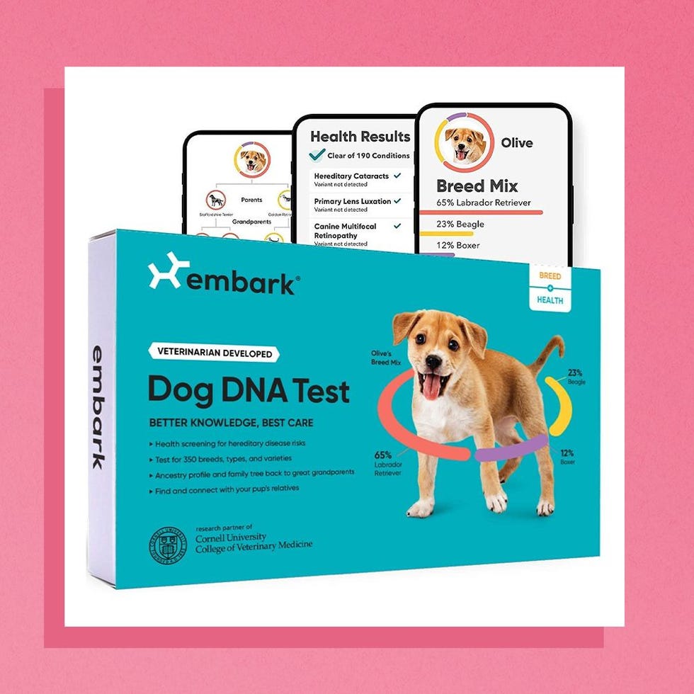 Dog DNA Test | Breed & Health Kit