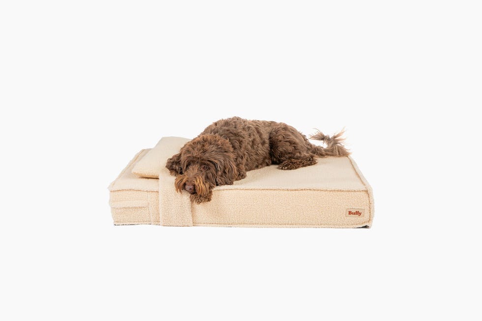 Orthopedic Pet Bed