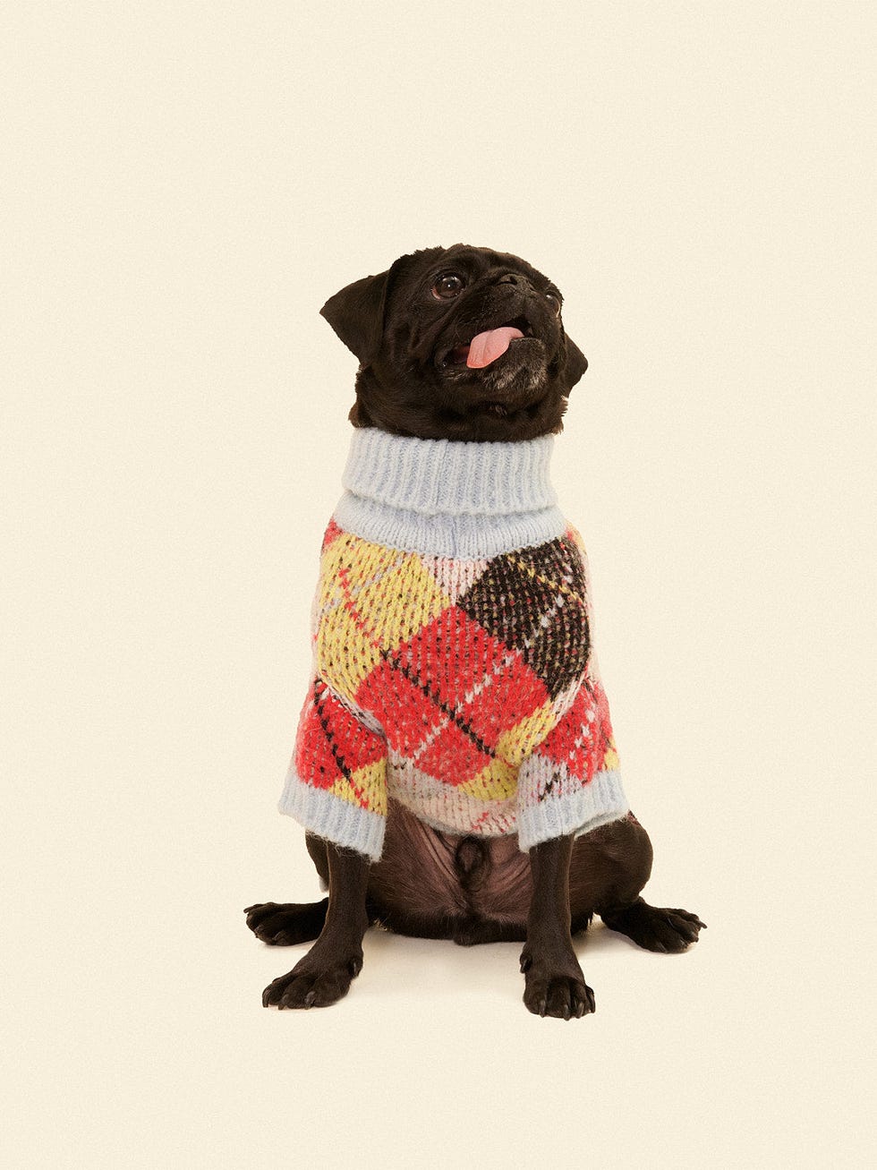 Dog Sweater