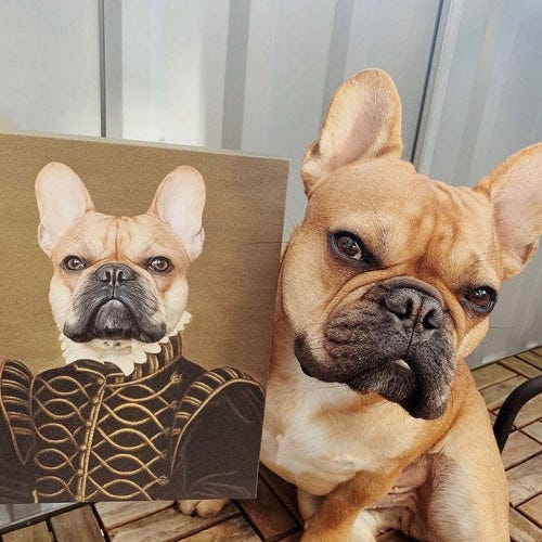 Custom Pet Portraits Custom Pet Portraits