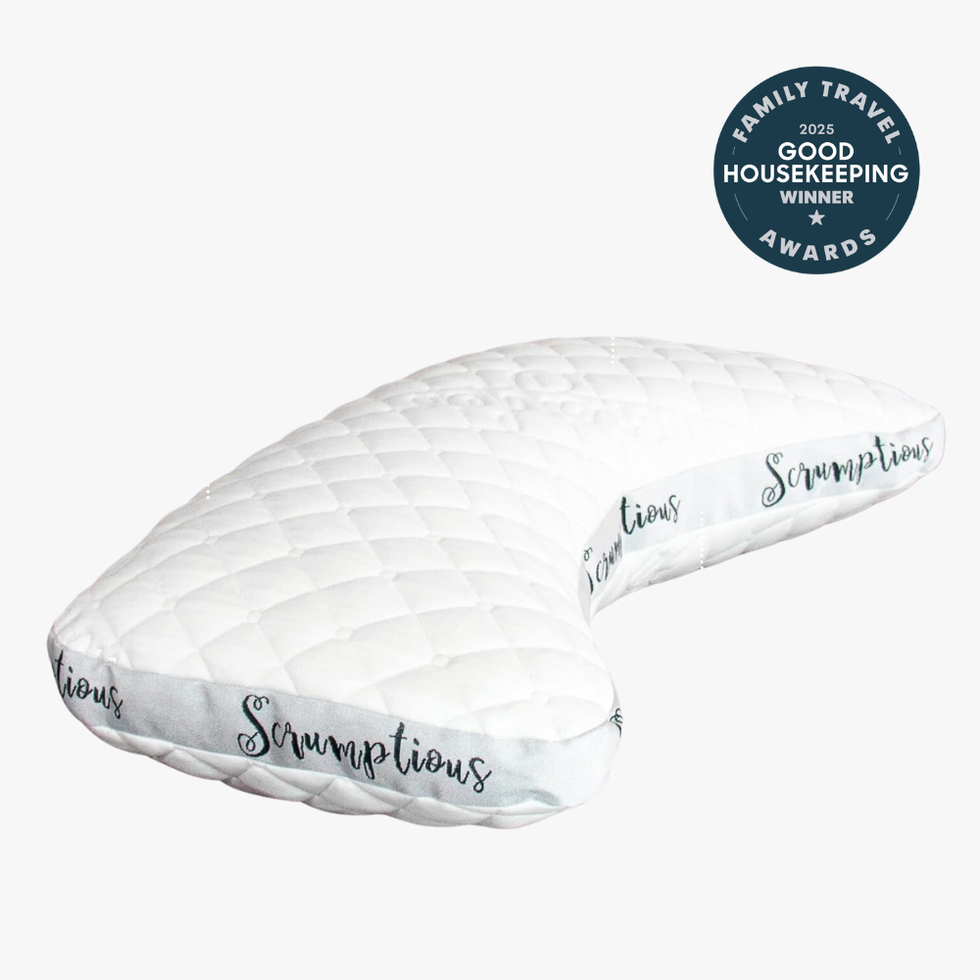 The Scrumptious Travel Pillow