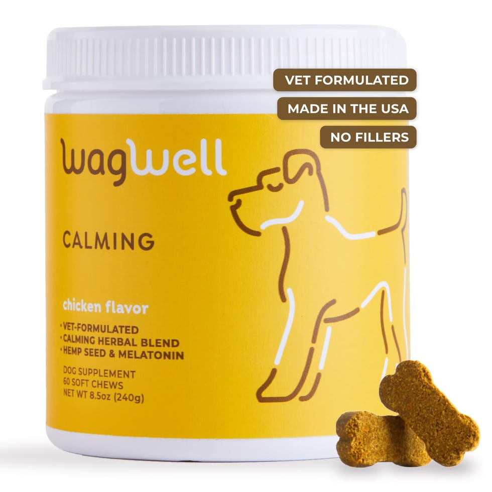 Calming Chews for Dogs