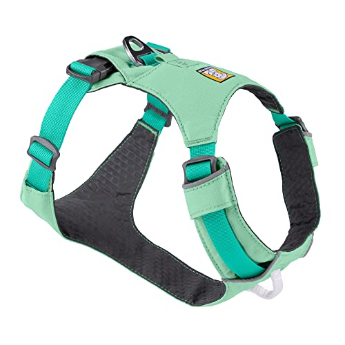 Everyday Lightweight Dog Harness