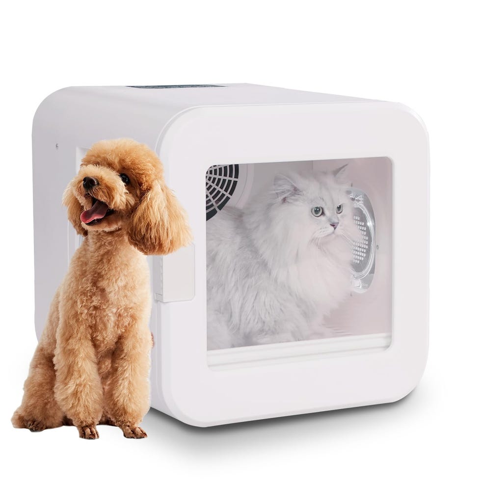 Pet Grooming Dryer Box