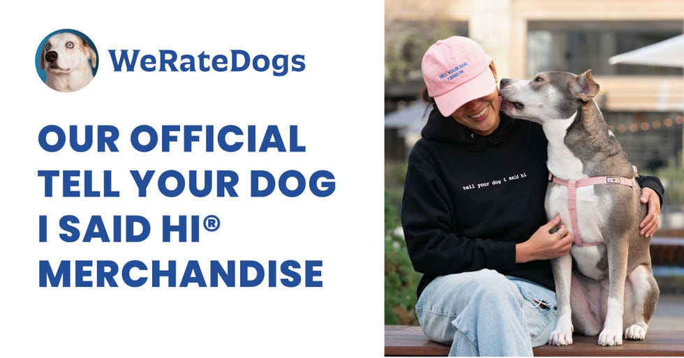 Mix and Match Dog Lover’s Essential Bundle 
