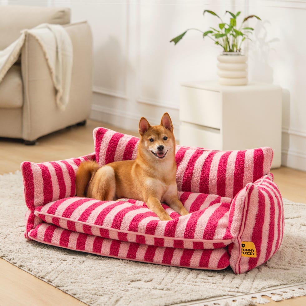 Striped Faux Lambswool Double Layer Dog & Cat Sofa Bed