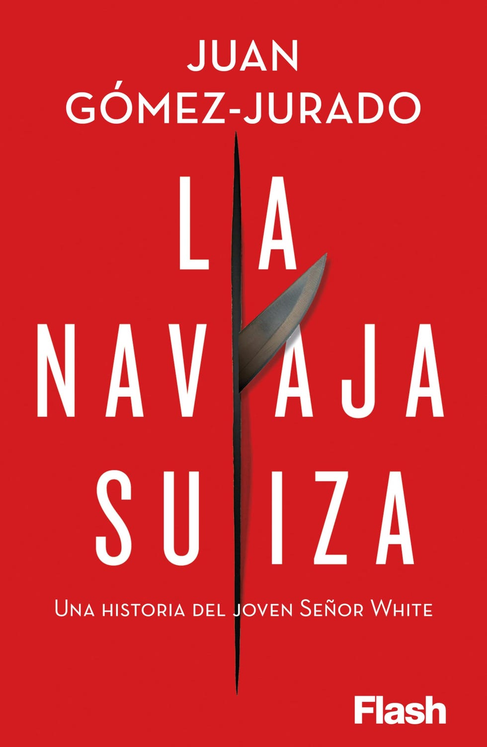 Los 6 libros de misterio y novelas negras más recomendados y adictivos ...
