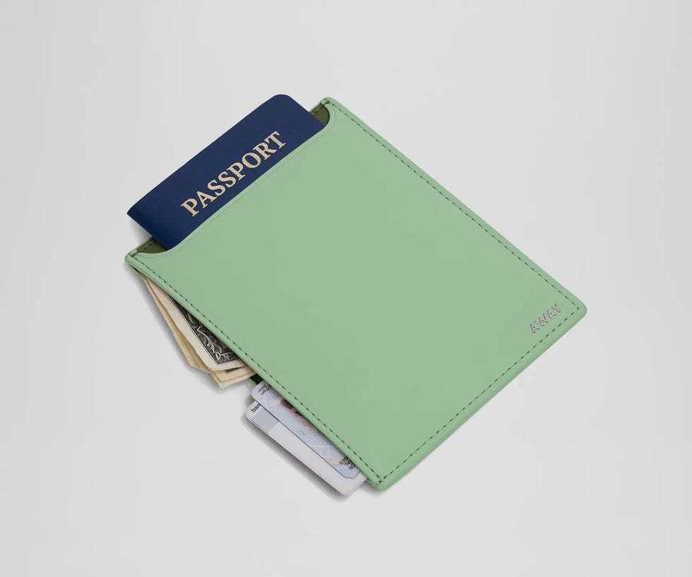 passport wallet