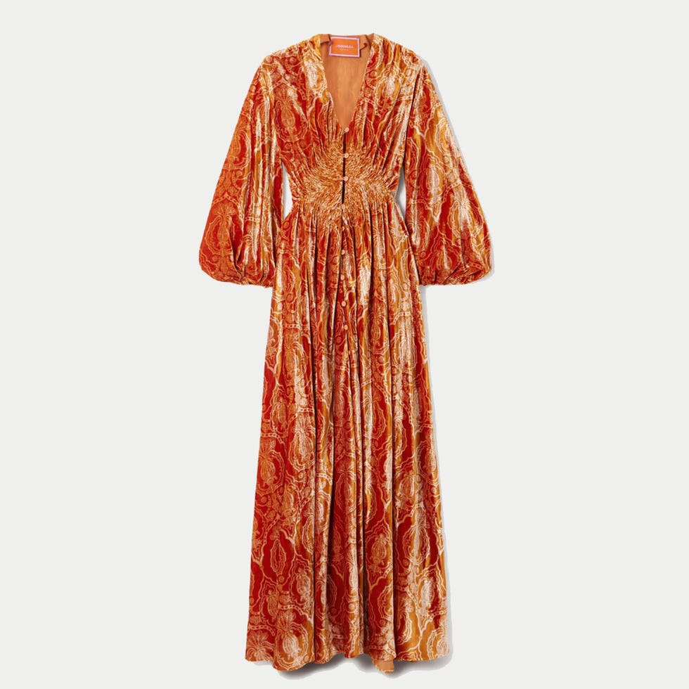 Camerino Printed Velvet Maxi Dress