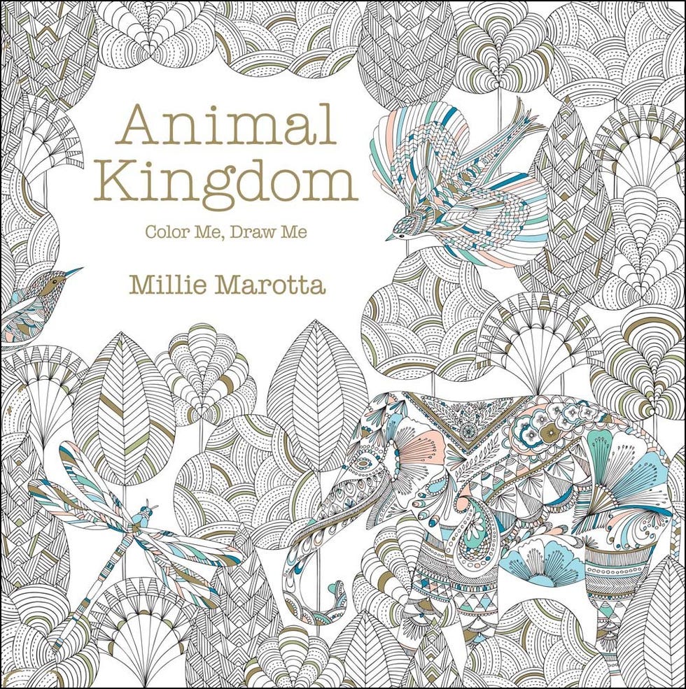 'Animal Kingdom: Color Me, Draw Me' Adult Coloring Book