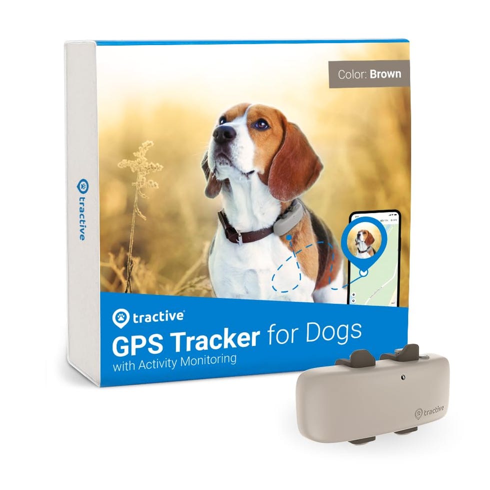 GPS Tracker for Dogs 