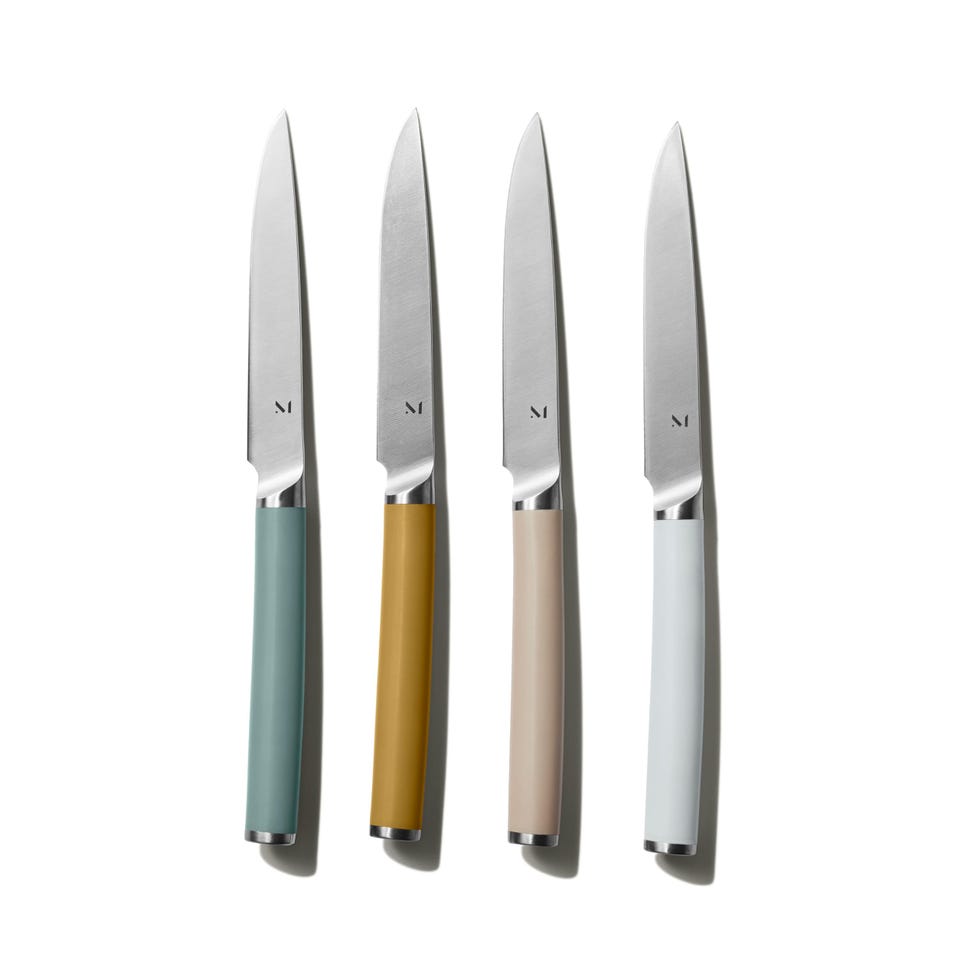 The 5-Piece Stainless Steel Steak Knives Set