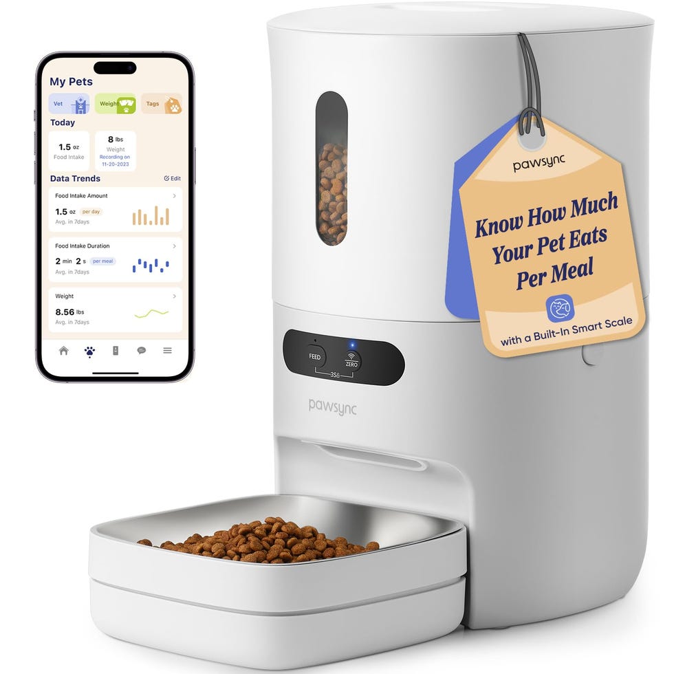 Automatic Cat Feeder Automatic Cat Feeder