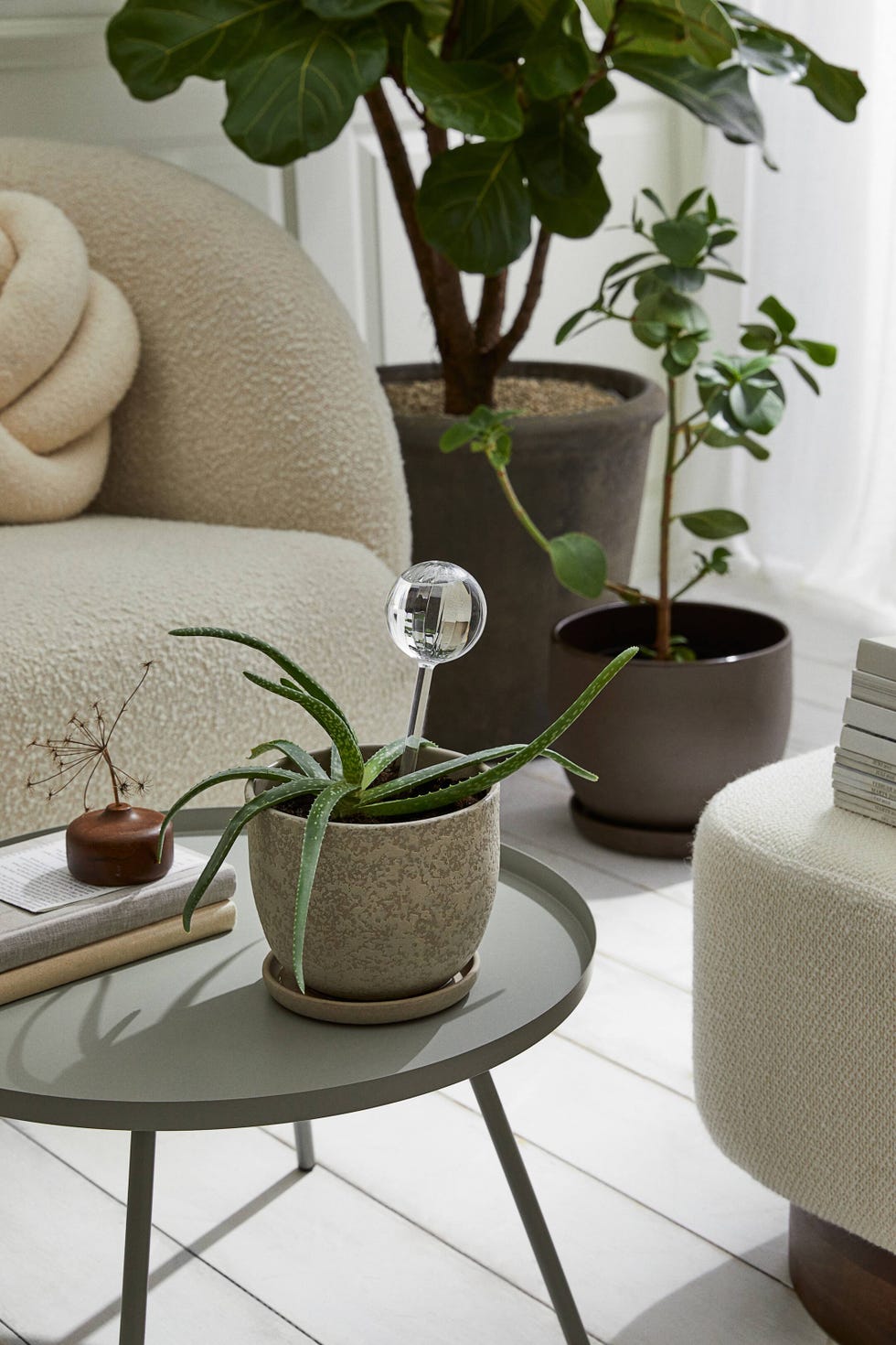 Watering globe