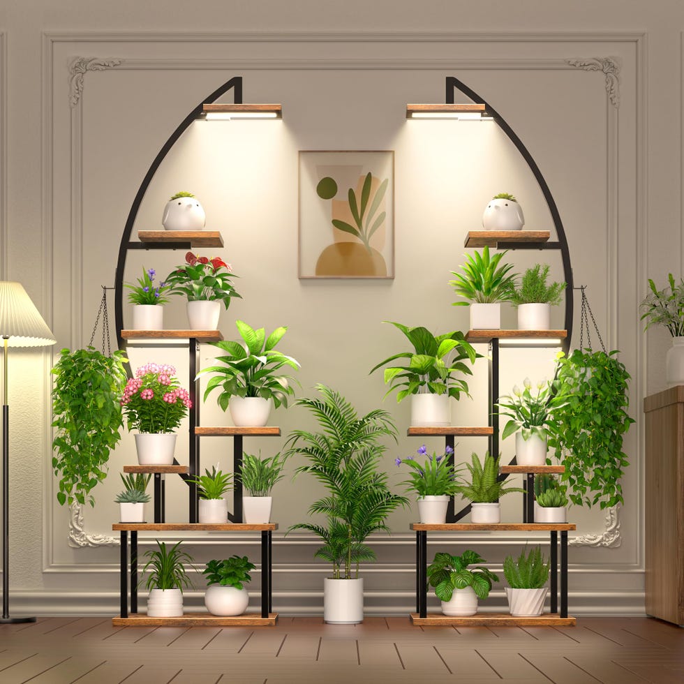 Houseplant stands with grow light