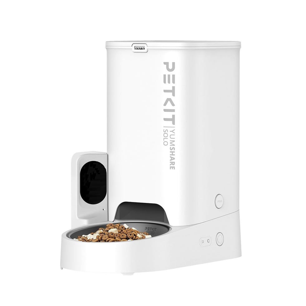 Comedero automático con cámara para gatos
