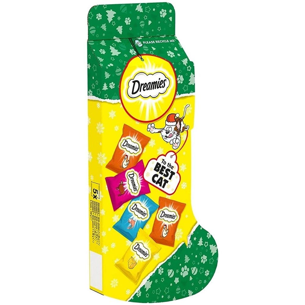Christmas Stocking Cat Treats