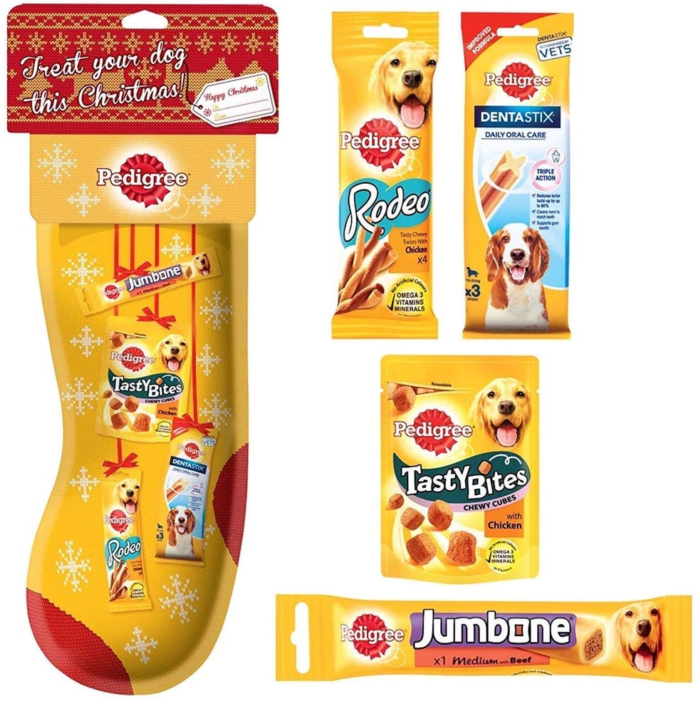 Christmas Dog Stocking
