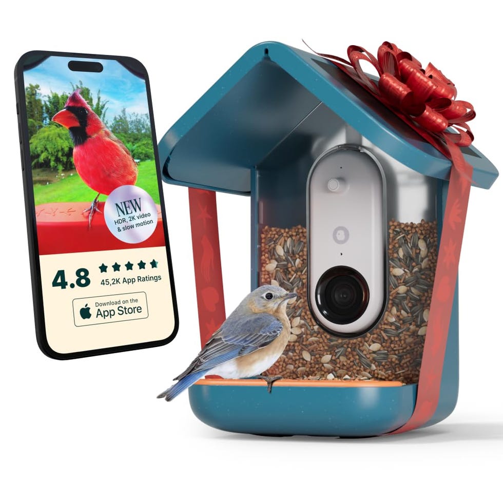 PRO Solar Bird Feeder with Camera