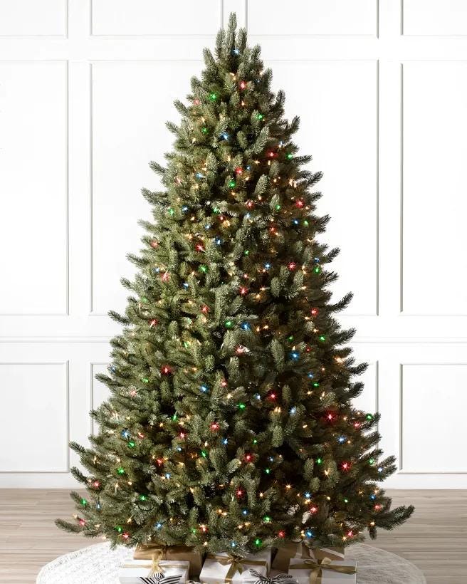 Vermont White Spruce
