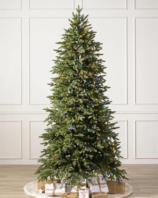 Stratford Spruce Trees