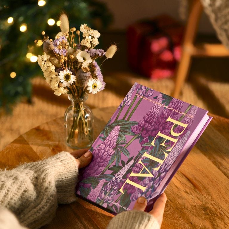 The Illustrated Petal Book & Dried Posy  