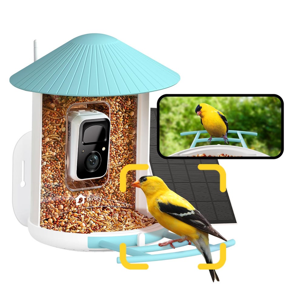 AI Smart Bird Feeder with Solar Panel