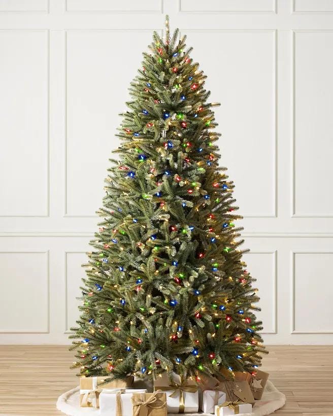 Royal Blue Spruce