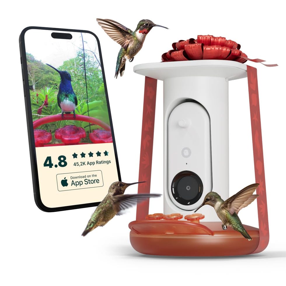 Smart Hummingbird Feeder with Camera