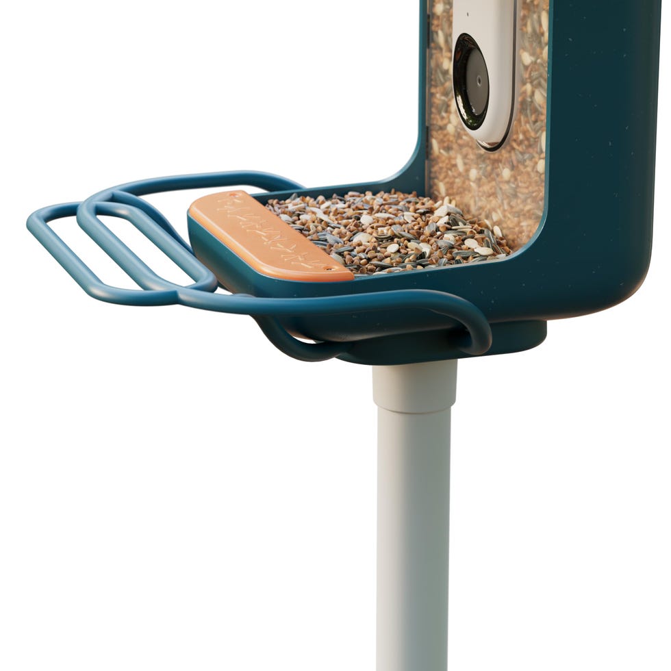 Original Perch Extender