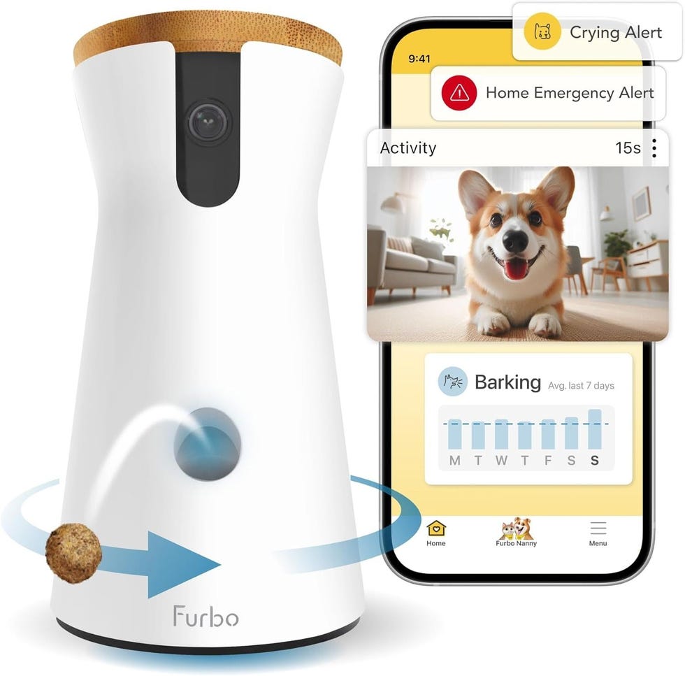 360° Dog Camera + Nanny Bundle