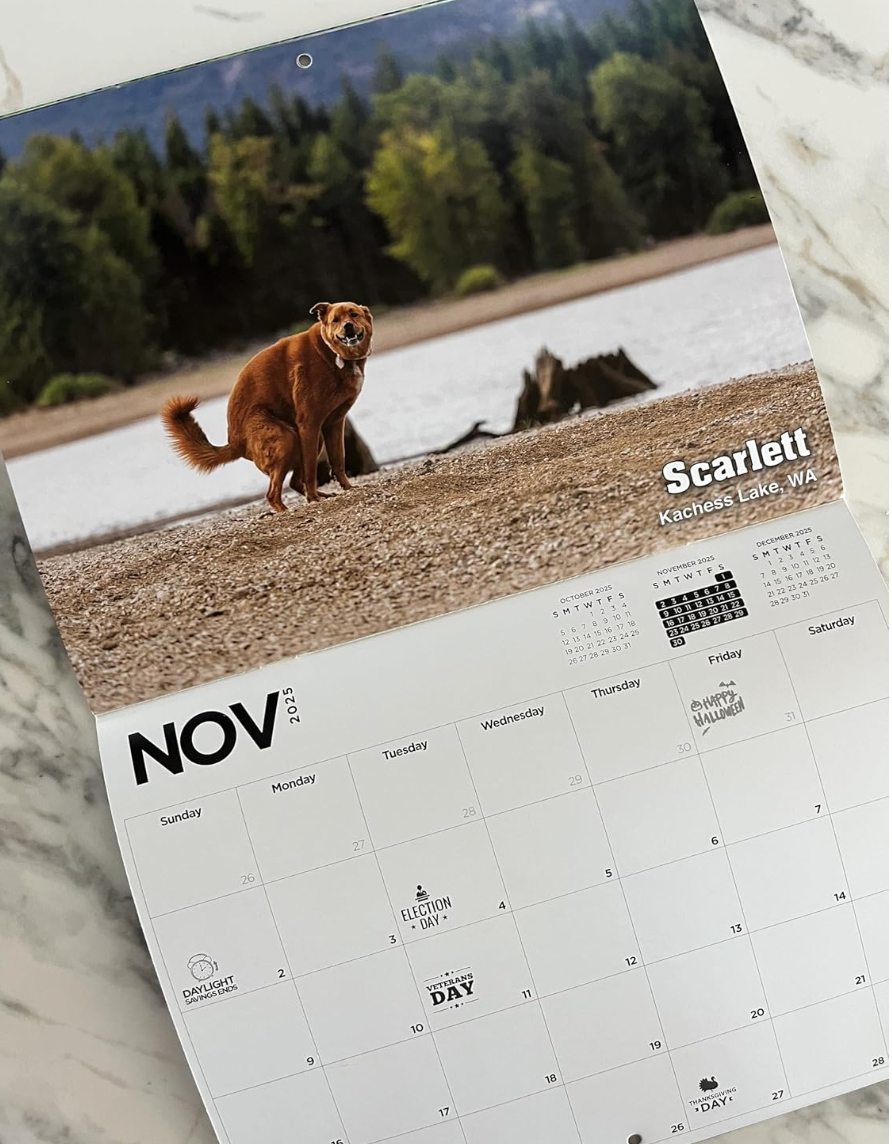 Pooping Pooches 2025 Calendar