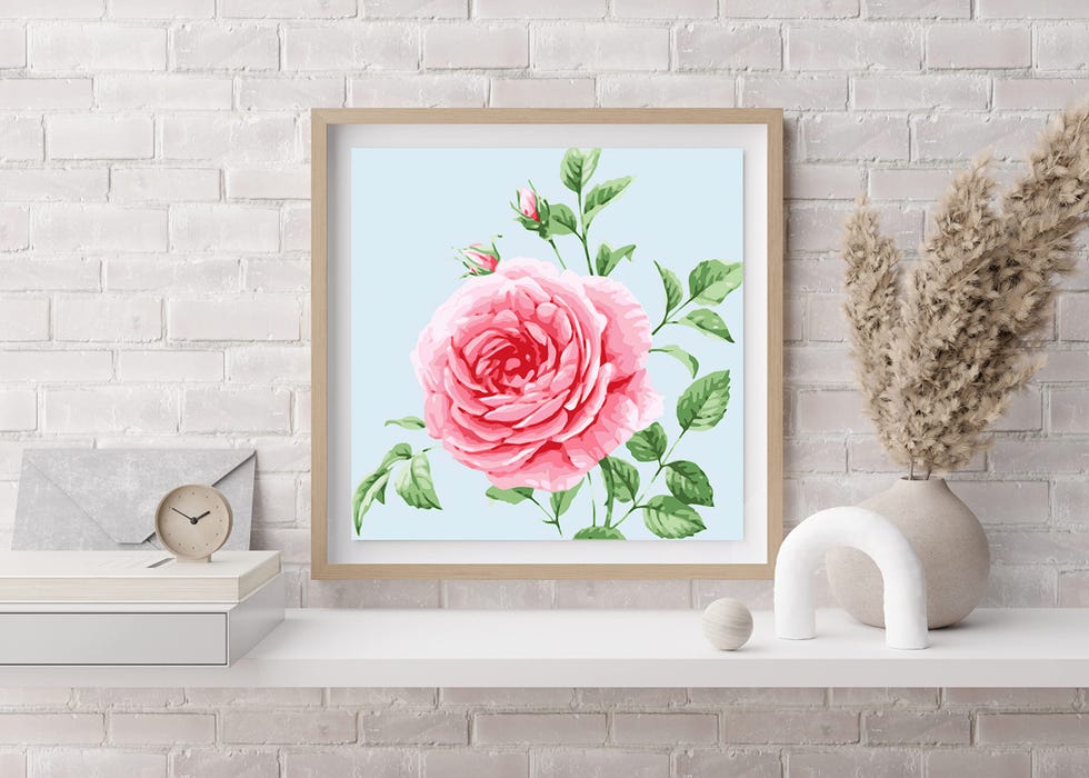 Framed, Paint by Numbers for Adults