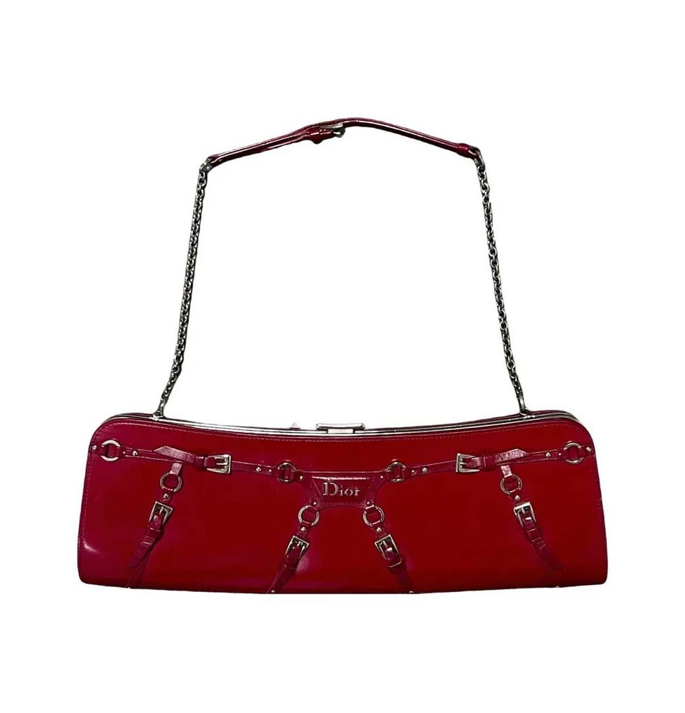 Dior Bondage Shoulder Bag