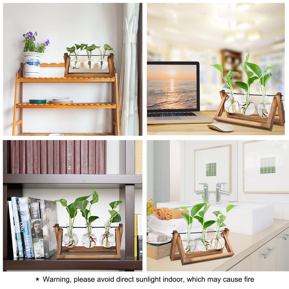 Plant Terrarium With Wooden Stand 