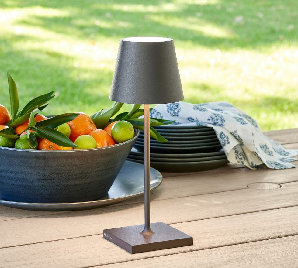 Poldina Pro Cordless Light