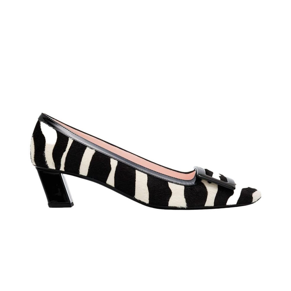 Belle Vivier Zebra Buckle Pumps