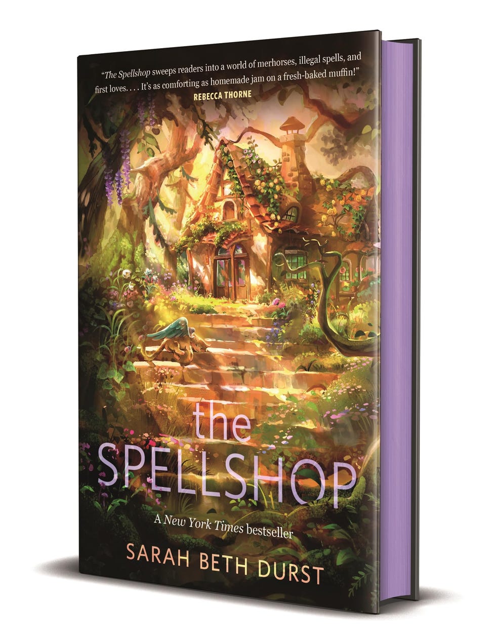 <i>The Spellshop</i> by Sarah Beth Durst