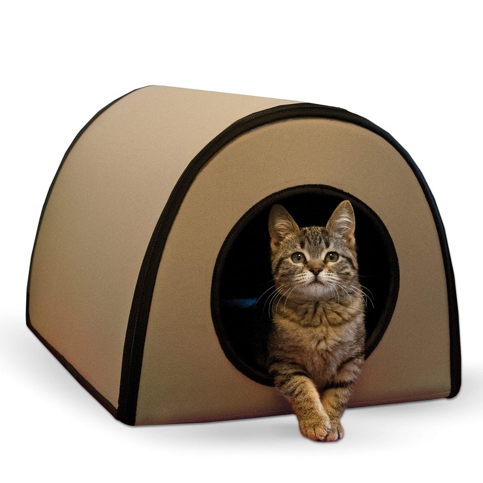 Thermo Mod Kitty Shelter