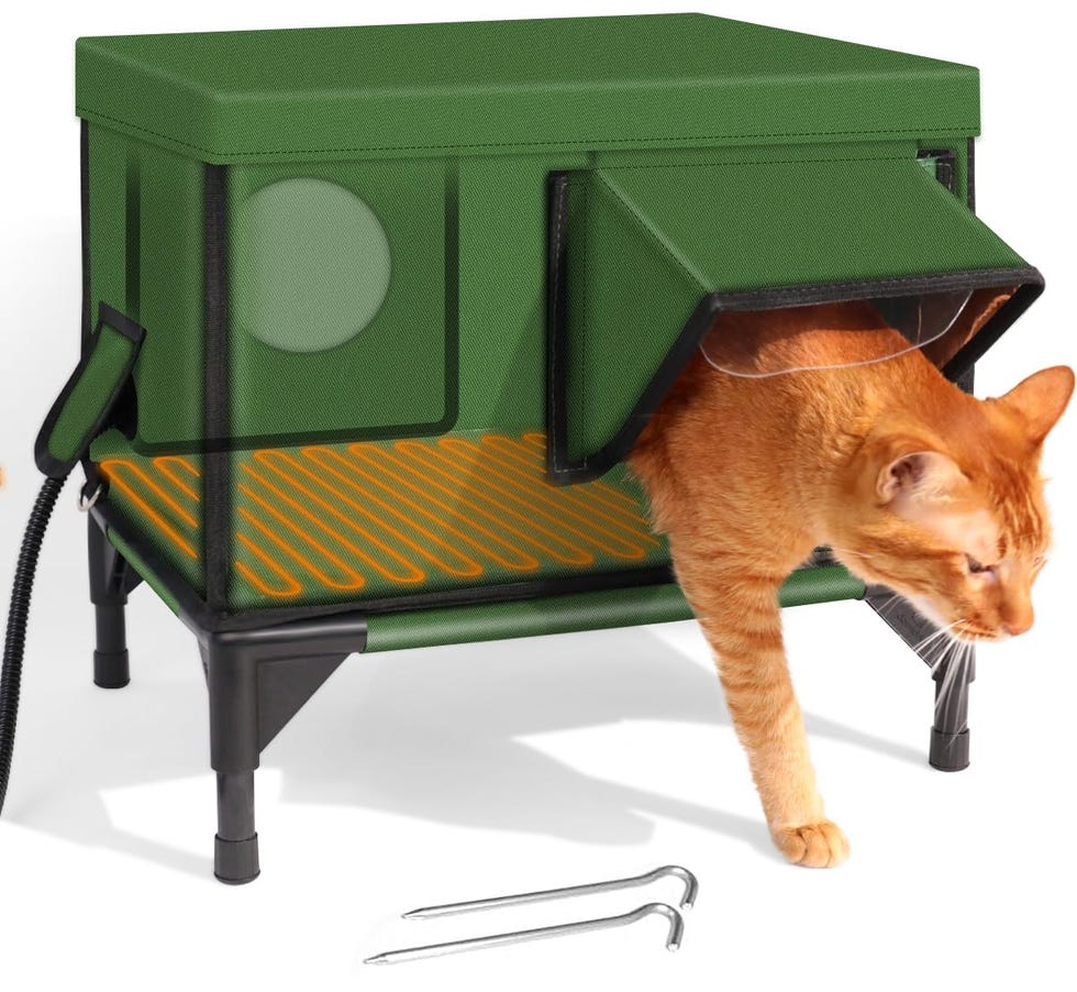 Elevated Heated Cat House 