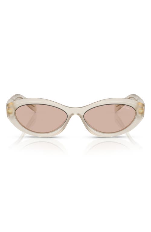 55mm Irregular Sunglasses 