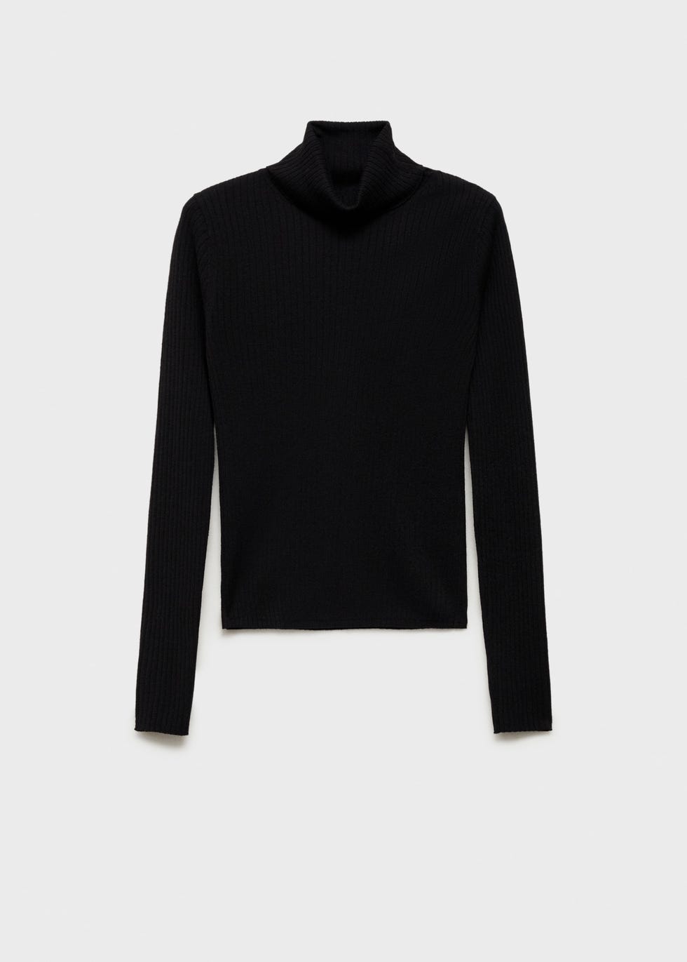 Wool blend turtleneck sweater