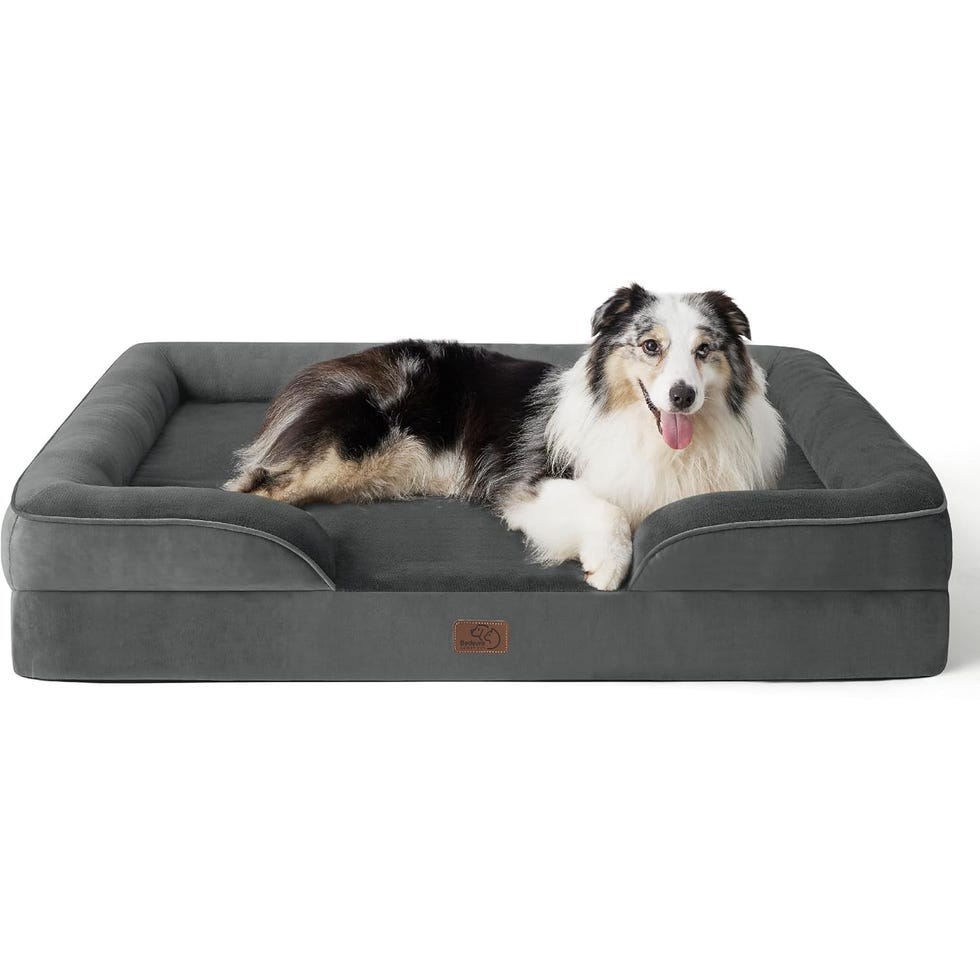 Medium Dog Sofa Bed
