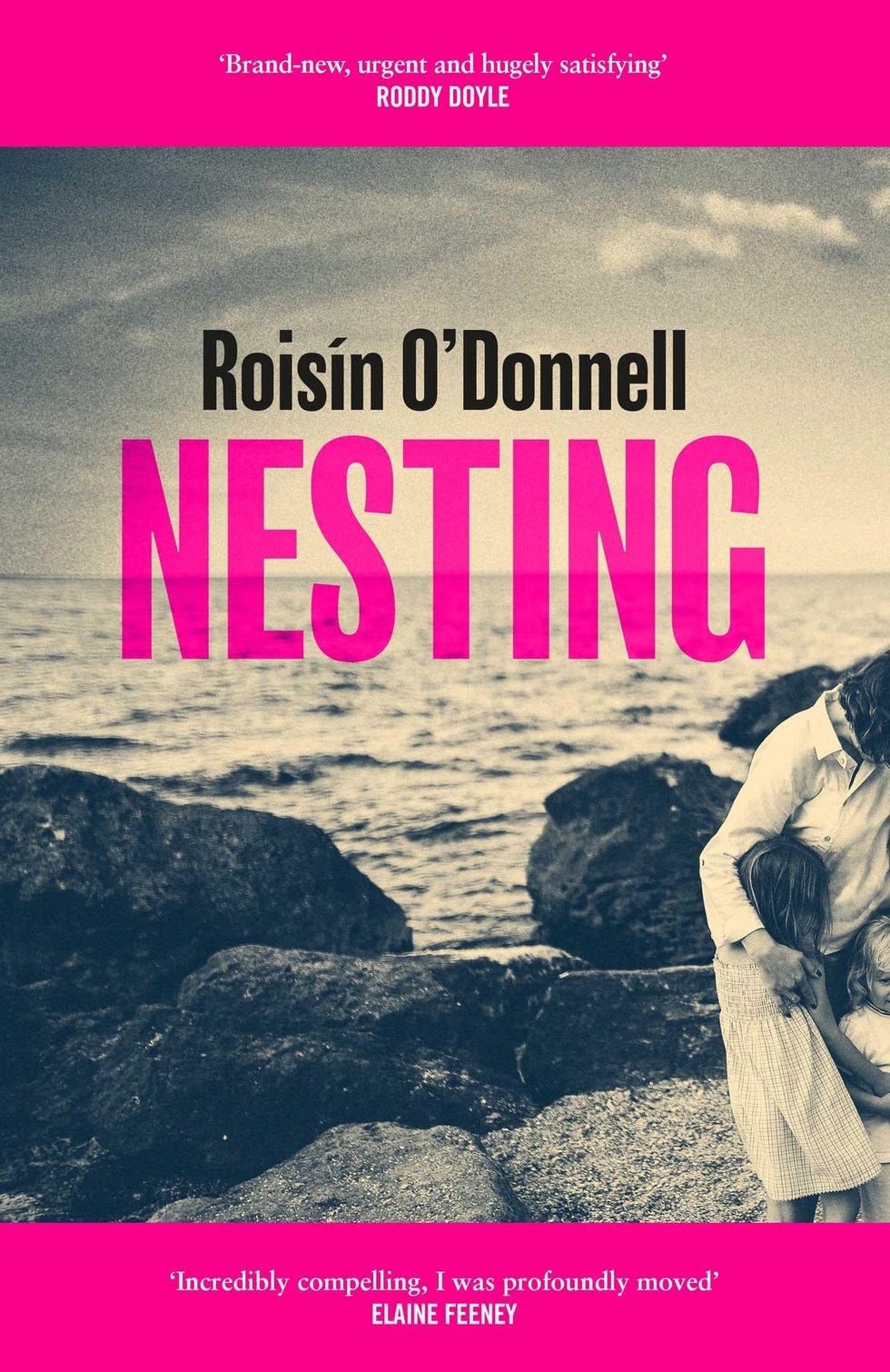 Nesting by Roisin O'Donnell