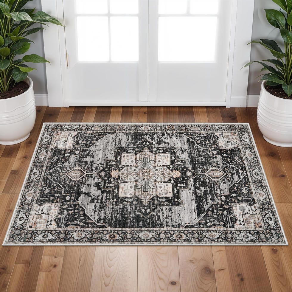 Washable 2x3 Area Rugs