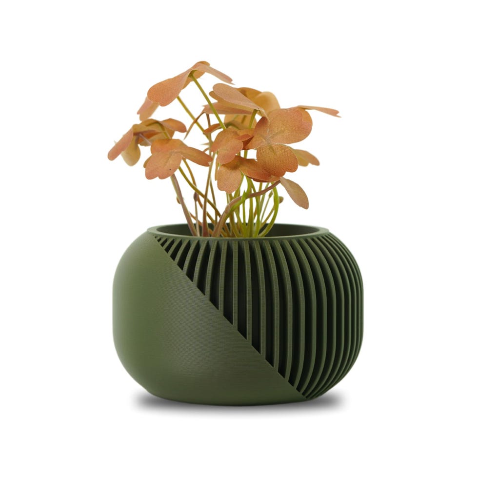 Maceta decorativa de interior para suculentas y cactus