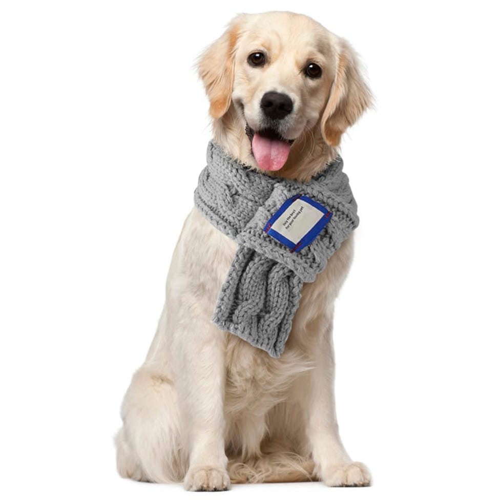 Bufanda de punto para perro