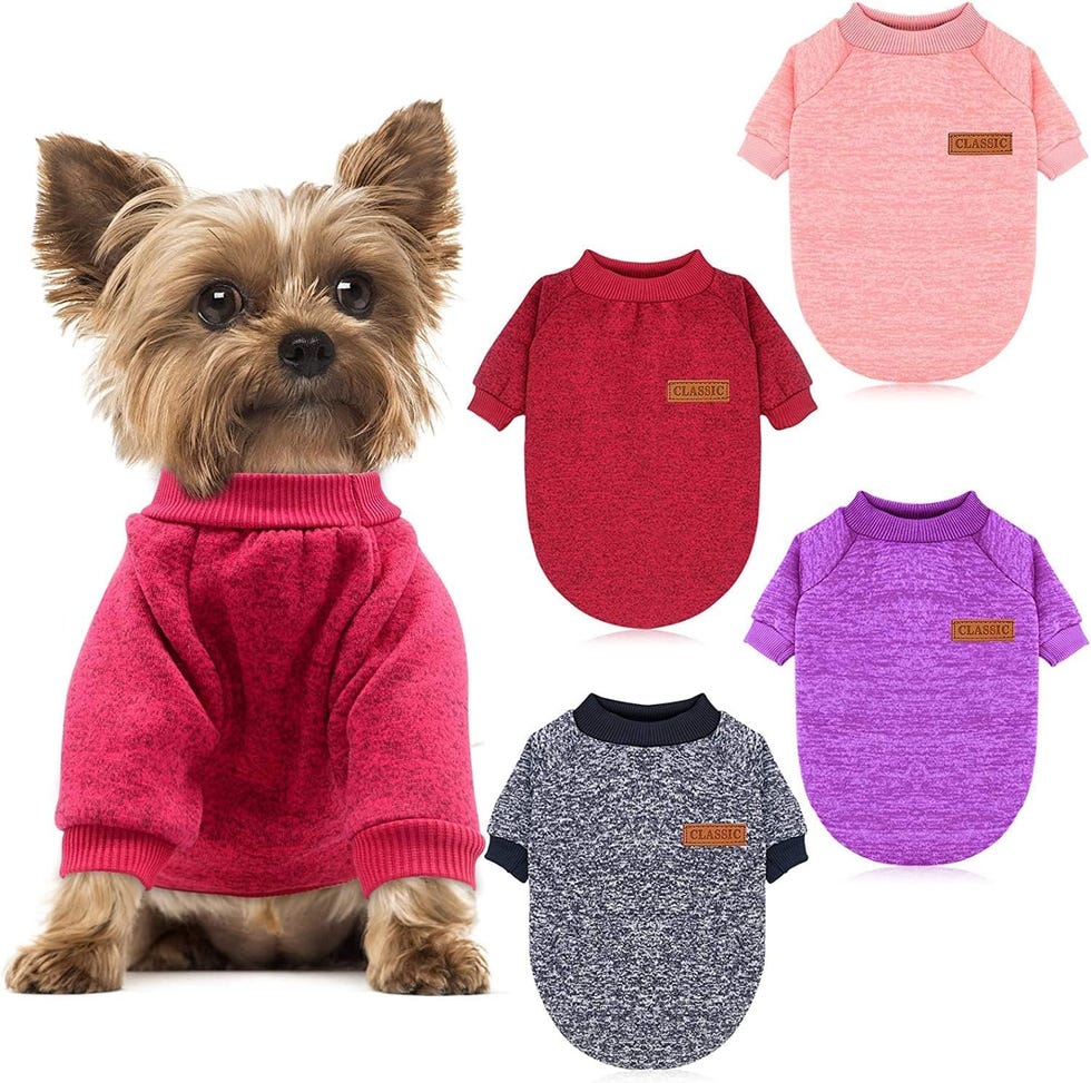 4 Suéteres para perros pequeño