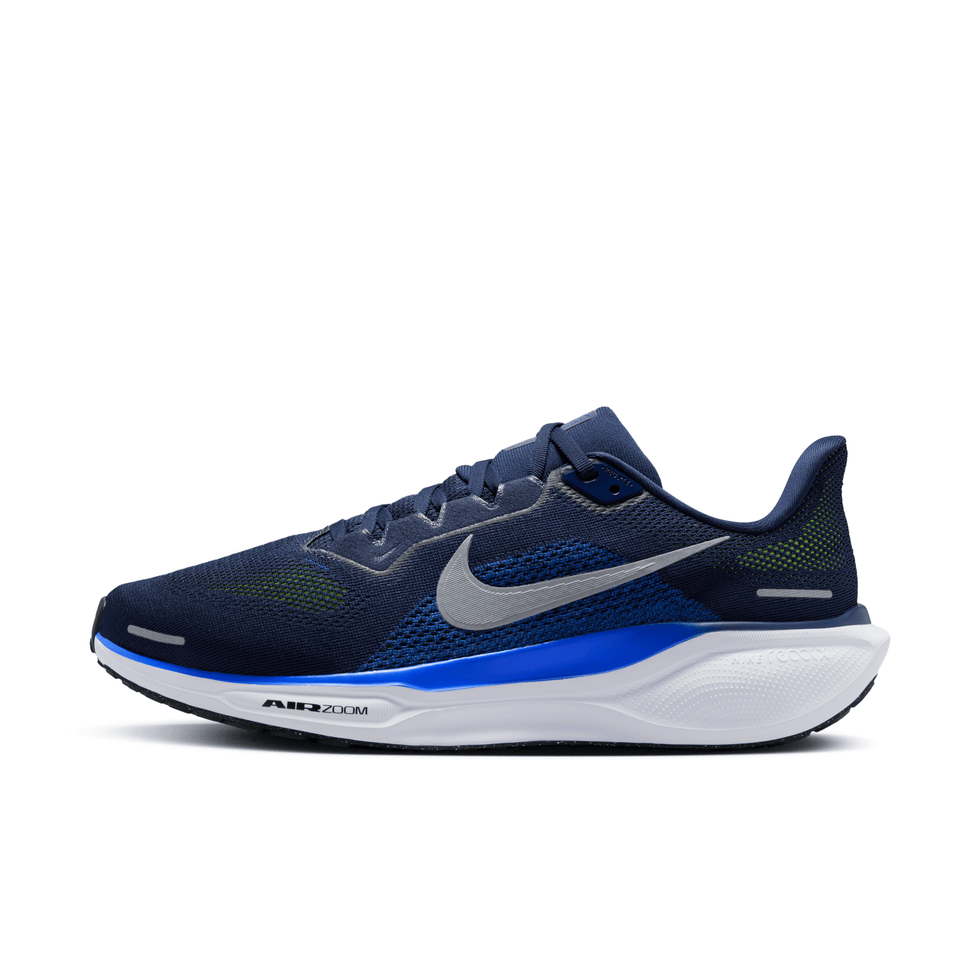 Pegasus 41