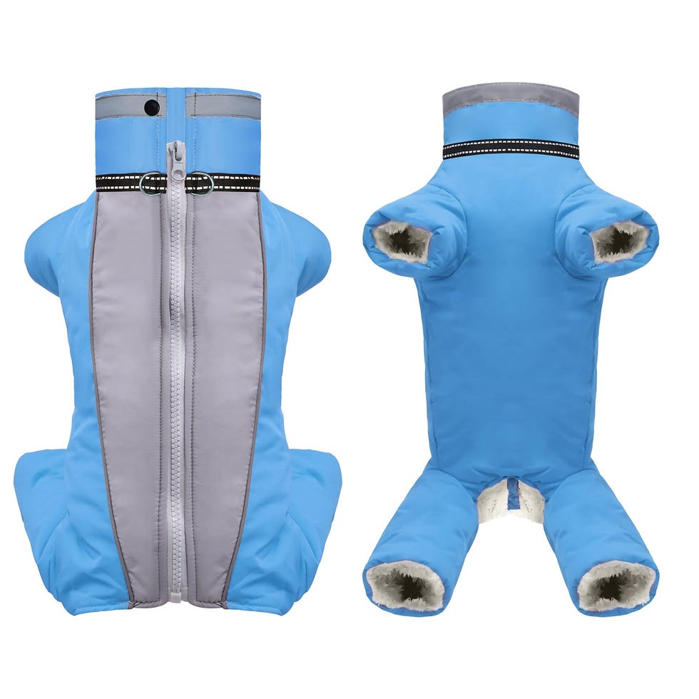 Chaqueta caliente para perros